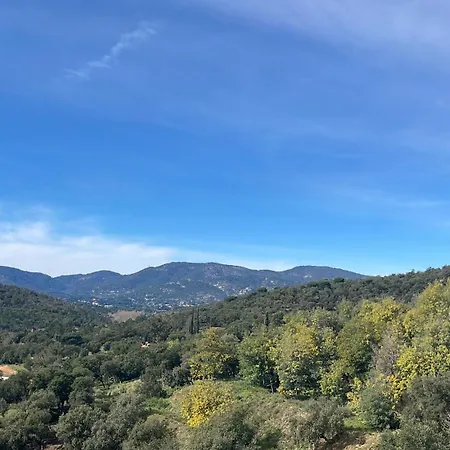 Soleil & Jardin Сент-Максим